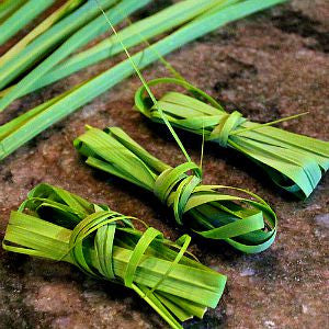 Lemongrass - Cymbopogon flexuosus