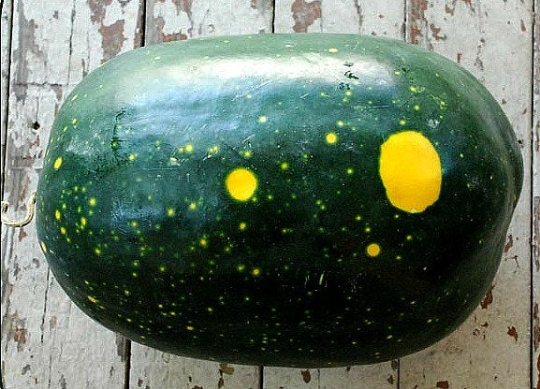 Yellow Moon & Stars Watermelon