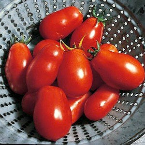 Rio Grande - Heirloom Tomato