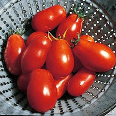 Rio Grande - Heirloom Tomato