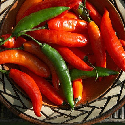 Serrano Chile -  Heirloom Pepper