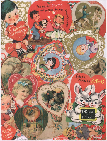 Valentine Collection, 5 varieties to bring pollinators