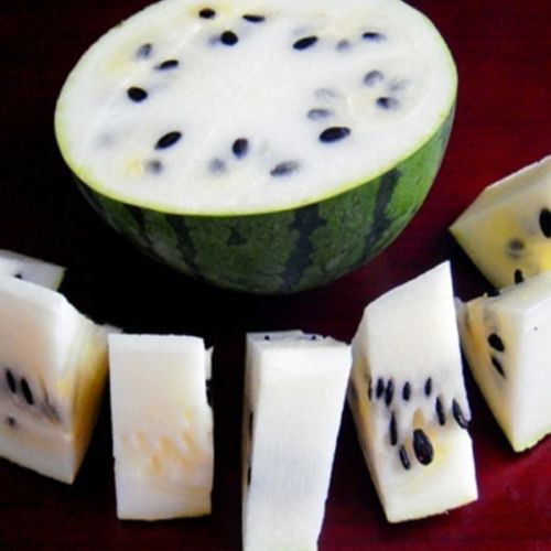 White Siberian  Heirloom Watermelon